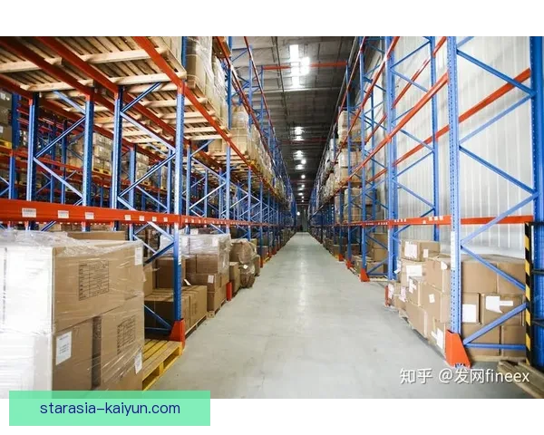 安特卫普整体实力持续提升，近期表现值得关注，展现出竞争力增强的趋势。